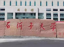 新疆石河子大學